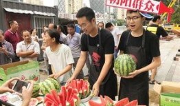 朝阳吃瓜群众,揭秘京城街头的热辣话题与趣味生活